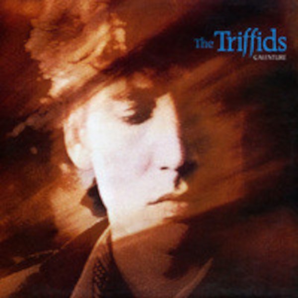 Triffids : Calenture (LP)
