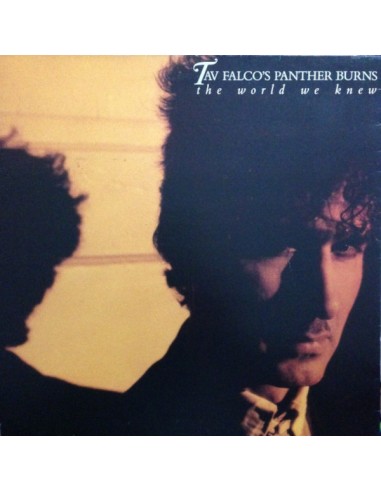 Tav Falco's Panther Burns : The World We Knew (LP)