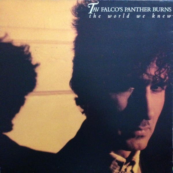 Tav Falco's Panther Burns : The World We Knew (LP)