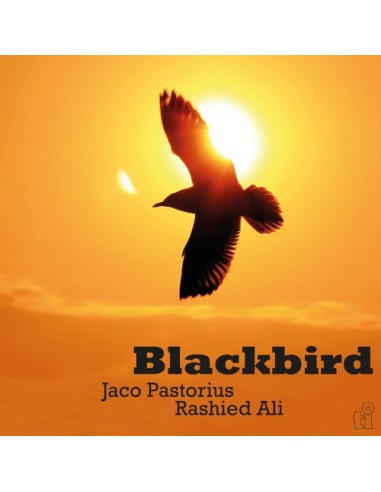 Pastorius, Jaco & Rashied Ali : Blackbird (LP)