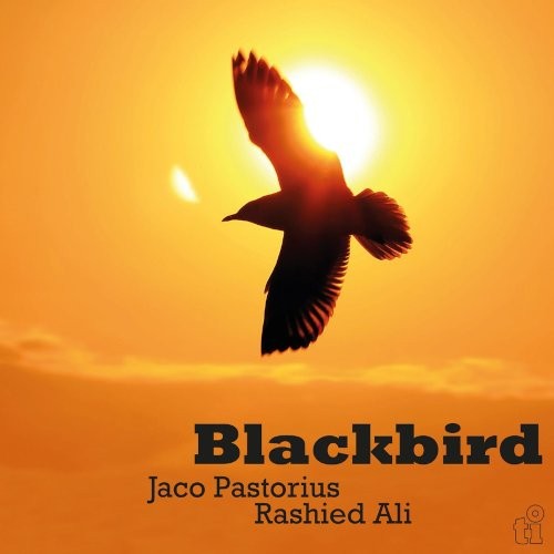Pastorius, Jaco & Rashied Ali : Blackbird (LP)
