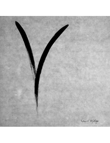 Nykopp, Lauri : Y - An Imaginary Ritual (LP)