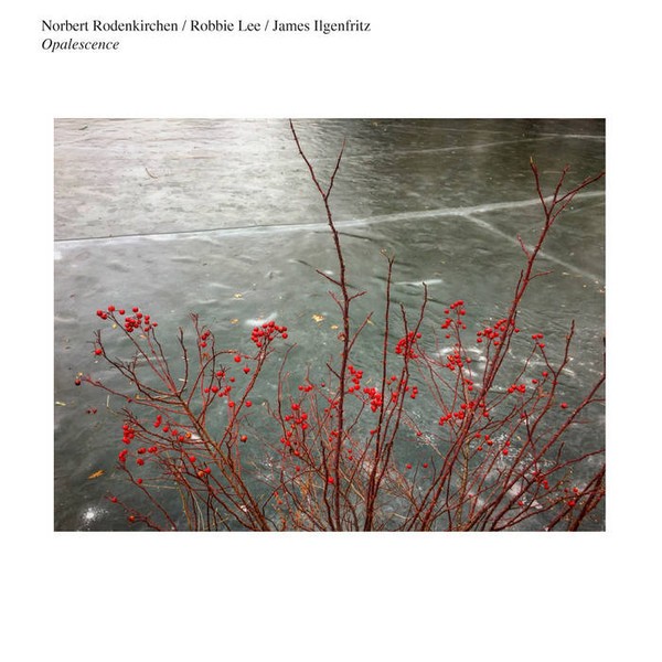 Rodenkirchen, Norbert, Robbie Lee, James Ilgenfritz : Opalescence (LP)