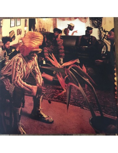 Fishbone : The Reality of my Surroundings (2-LP)