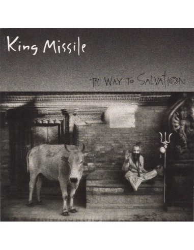 King Missile : The Way to Salvation (LP)