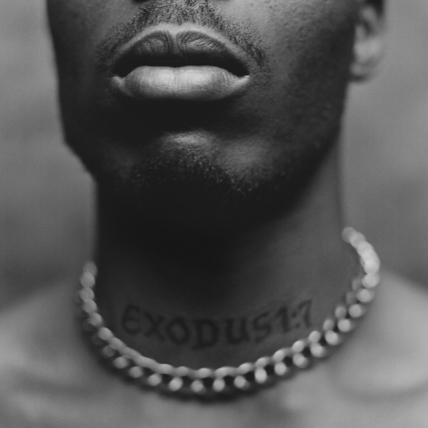 DMX : Exodus (LP)