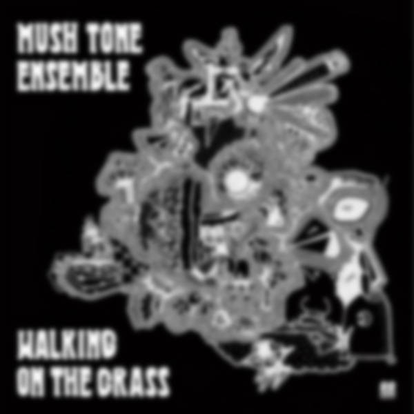 Mush Tone Ensemble : Walking On The Grass (LP)
