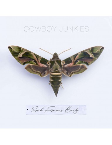 Cowboy Junkies: Such Ferocious Beauty (CD)