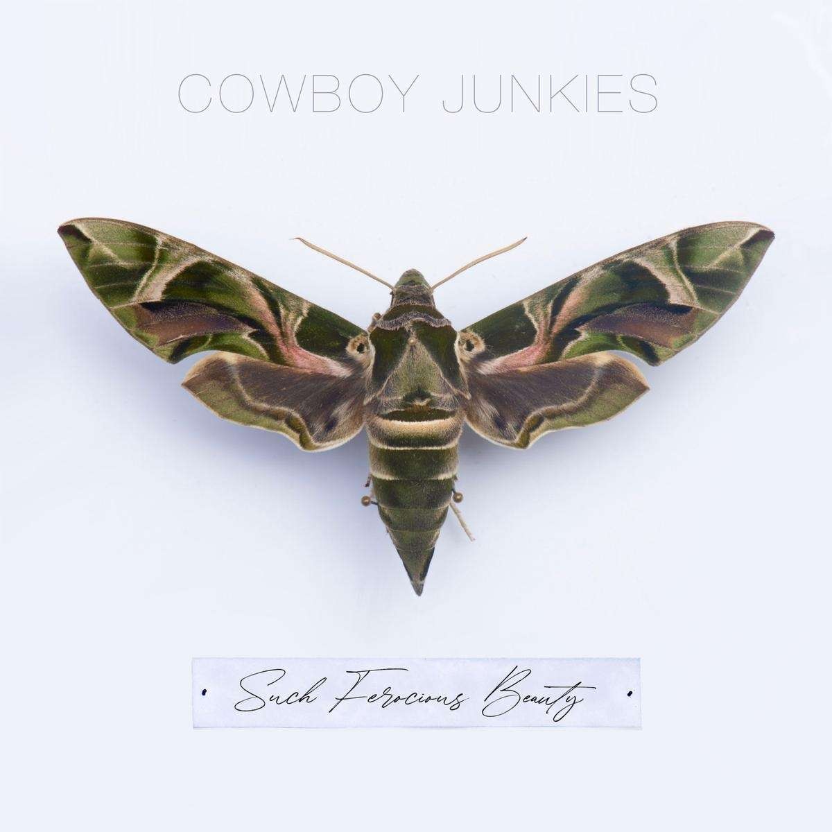 Cowboy Junkies: Such Ferocious Beauty (CD)