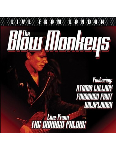 Blow Monkeys : Live from the Camden Palace (CD)