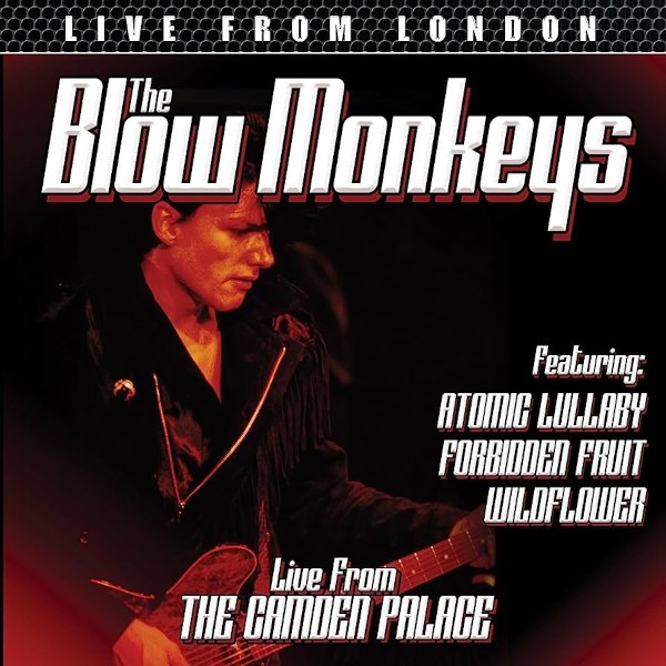 Blow Monkeys : Live from the Camden Palace (CD)