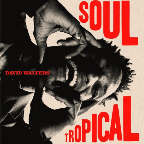 Walters, David : Soul Tropical (2-LP)