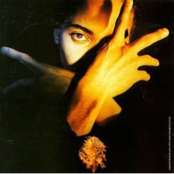 D'Arby, Terence Trent : Neither Fish Nor Flesh (LP)