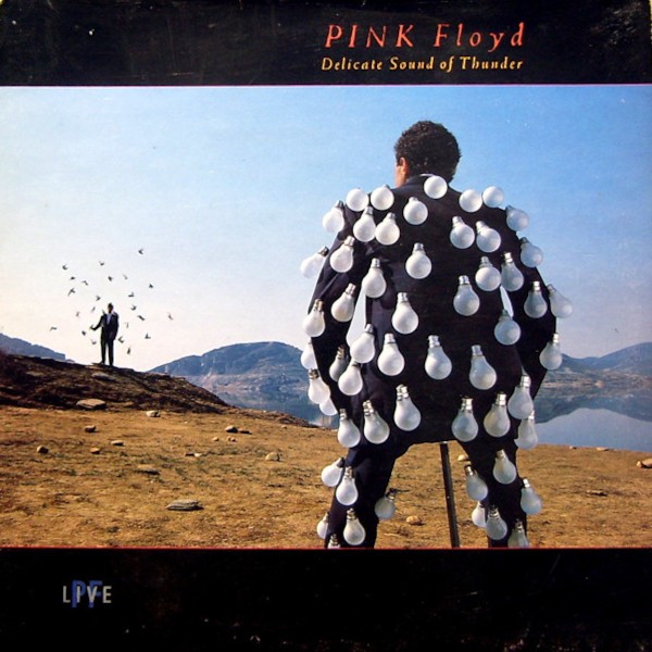 Pink Floyd : Delicate Sound of Thunder (2-LP)