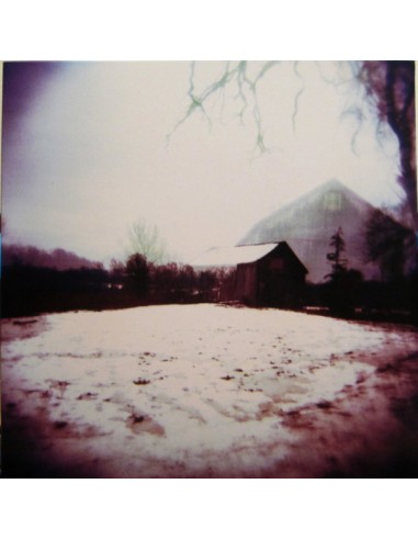 Horse Feathers : House With No Home (LP)