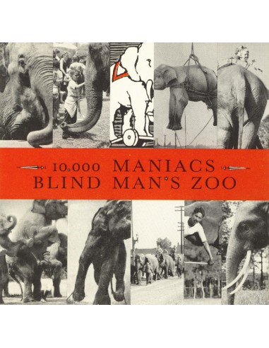 10 000 Maniacs : Blind man's Zoo (LP)