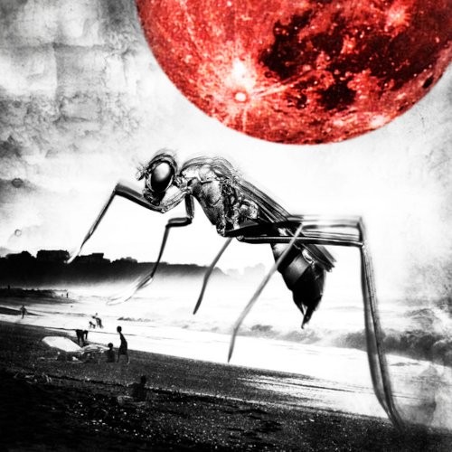 Polanski : Mosquito (LP)