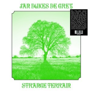 Jan Dukes De Grey : Strange Terrain (LP)