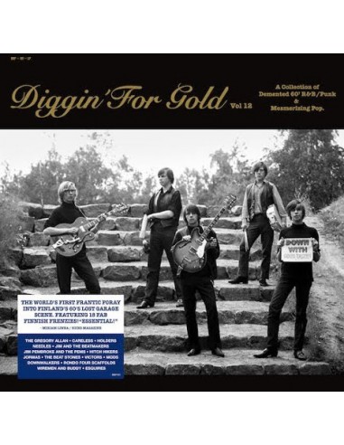 Diggin' For Gold Vol.12 - Finland's 60's lost garage scene (LP)