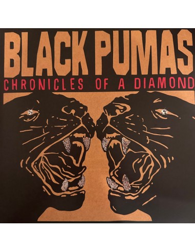 Black Pumas : Chronicles of a Diamond (LP)