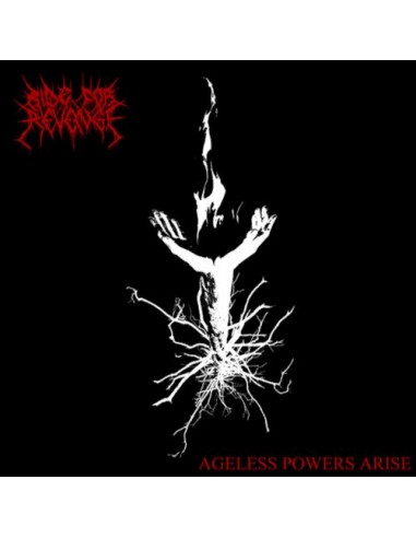 Ride For Revenge : Ageless Powers Arise (LP)