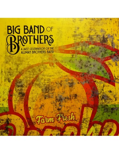 Big Band of Brothers : A Jazz Celebration of the Allman Brothers Band (2-LP)