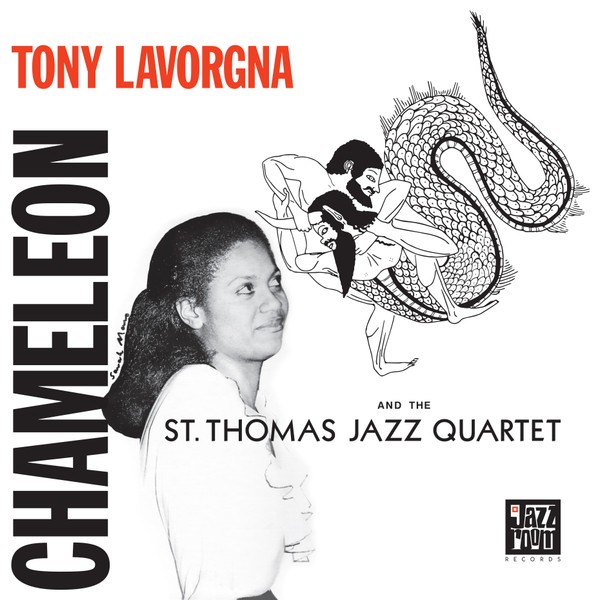 Lavorgna, Tony : Chameleon (LP)