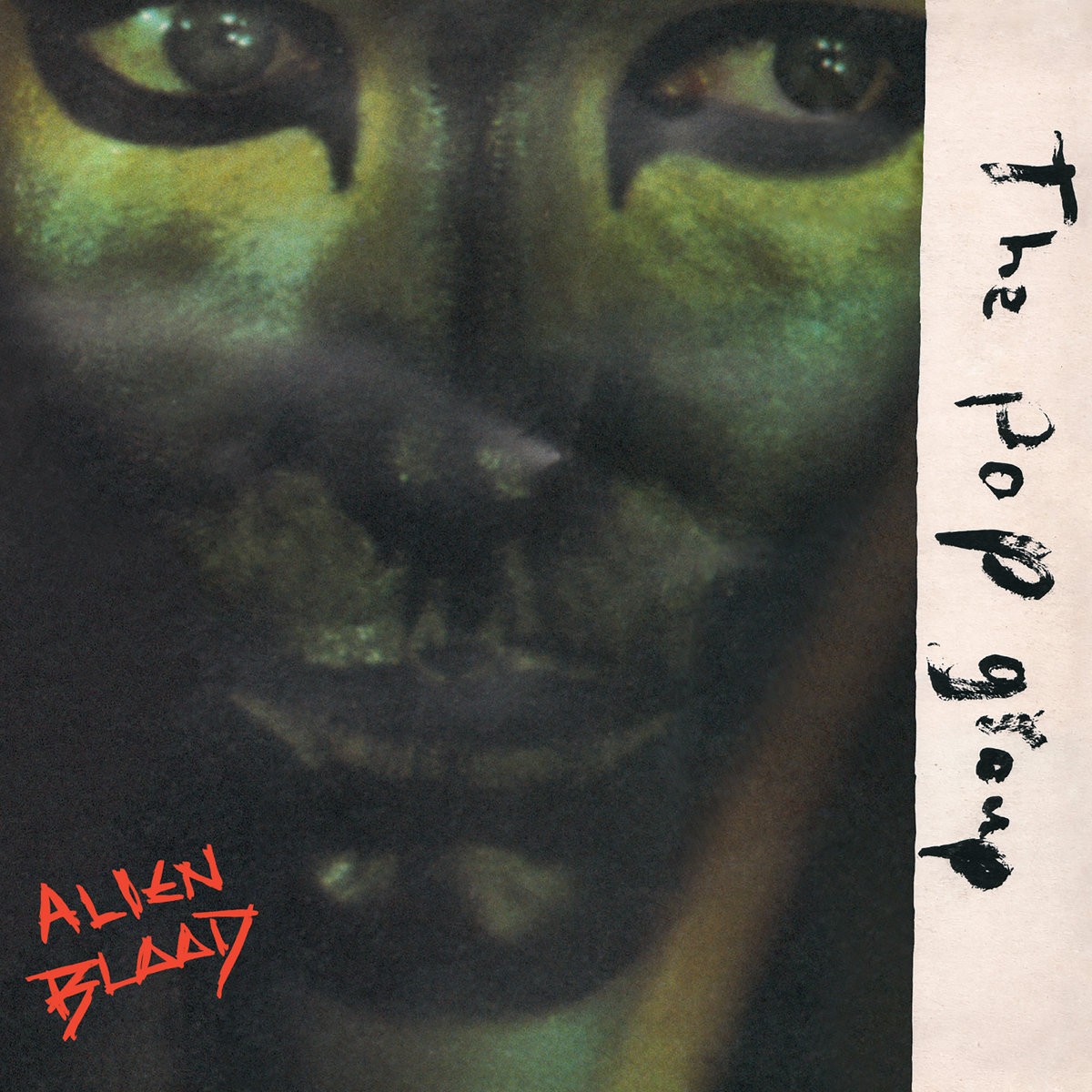 Pop Group : Alien Blaad (LP)