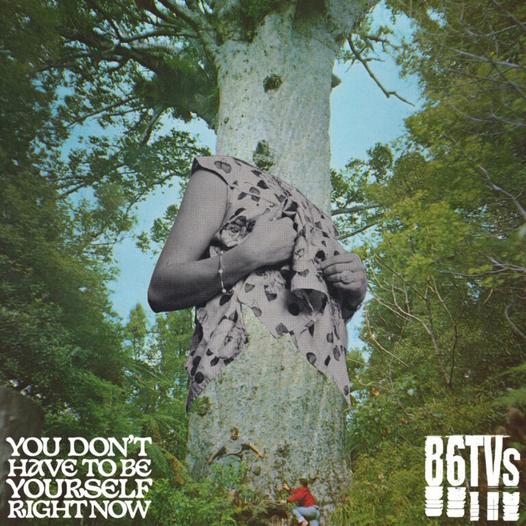 86TVs : You Don t Have To Be Yourself (12") RSD 24