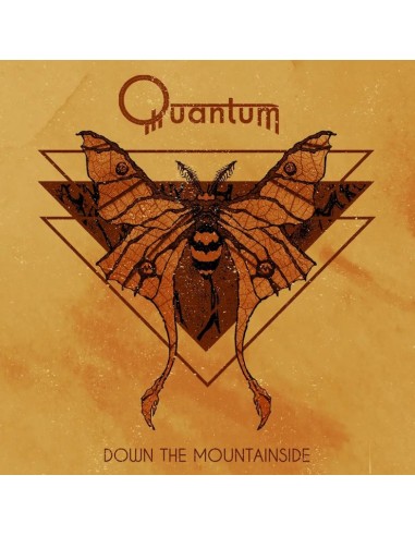 Quantum : Down the Mountainside (LP) RSD 24