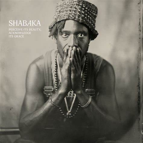 Shabaka : Perceive Its Beauty, Acknowledge Its Grace (LP)