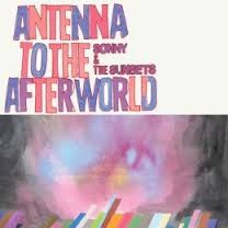 Sonny & the Sunsets : Antenna to the Afterworld (LP)