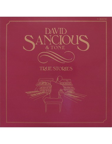 Sancious, David & Tone : True Stories (LP)
