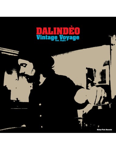 Dalindeo : Vintage Voyage feat. Bajka (12")