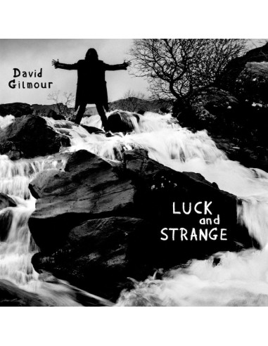 Gilmour, David : Luck and strange (CD)