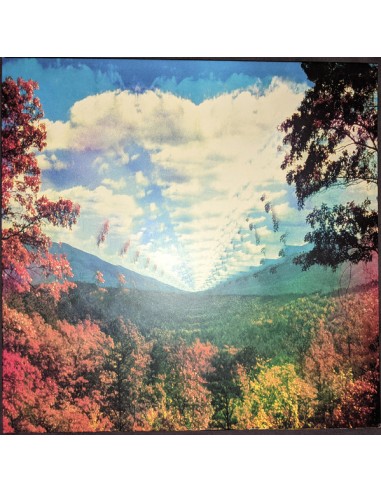 Tame Impala : Innerspeaker (4-LP)