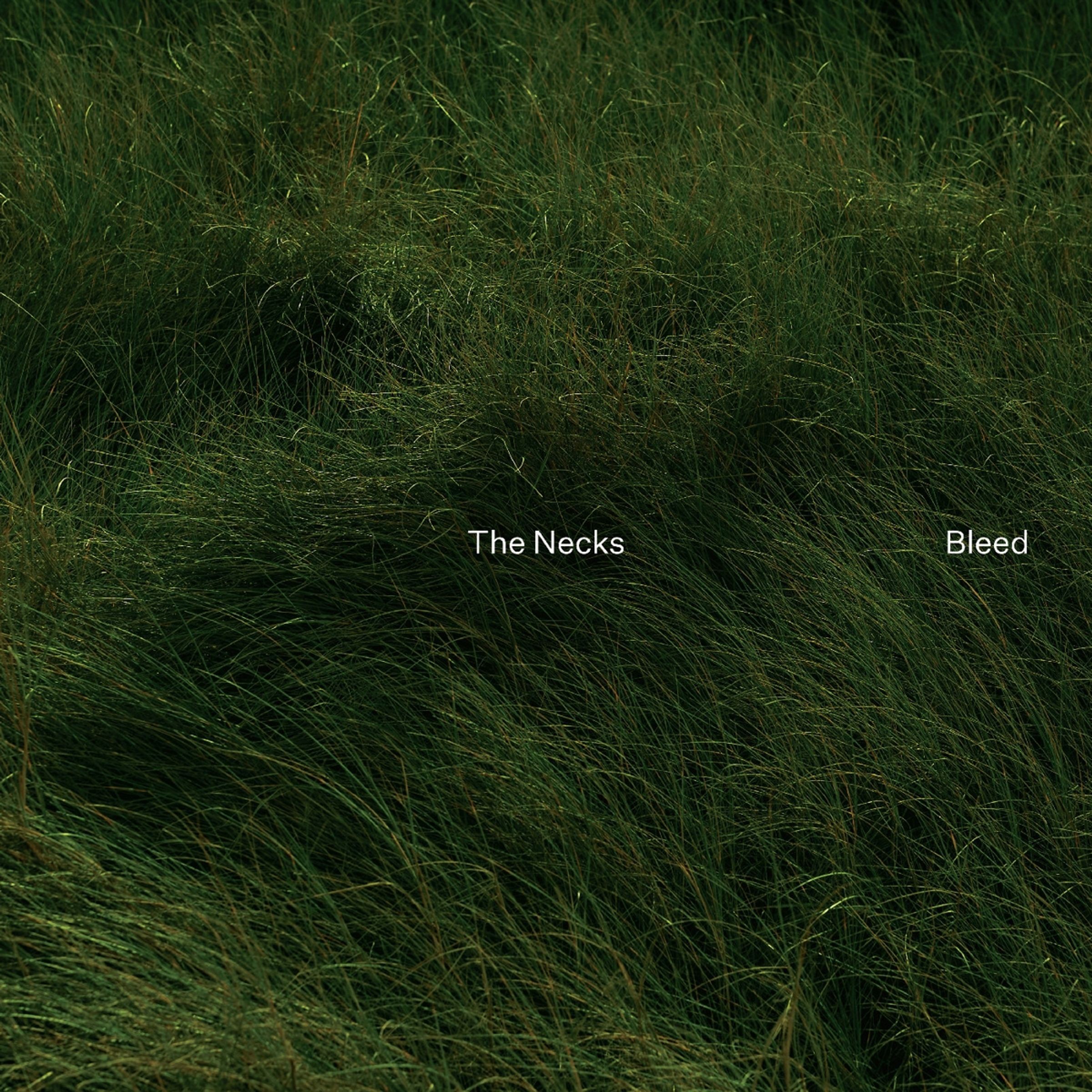 Necks : Bleed (LP)