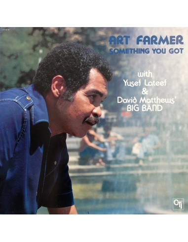 Farmer, Art : Something You Got (LP)