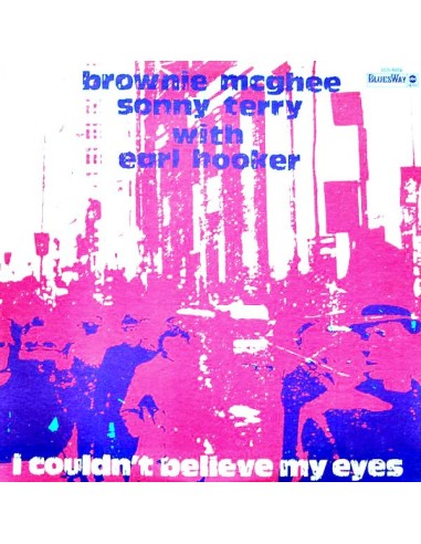 MCGhee, Brownie and Sonny Terry with Earl Hooker : I could't believe my eyes (LP)