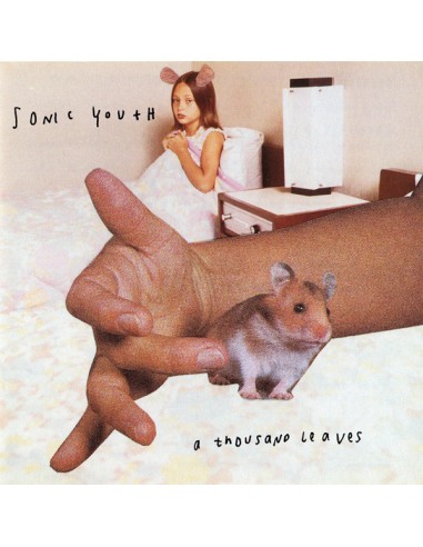 Sonic Youth : A Thousand Leaves (LP)