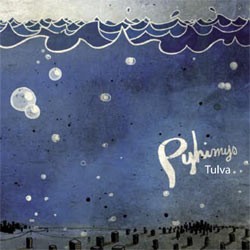 Pyhimys : Tulva (2-LP)
