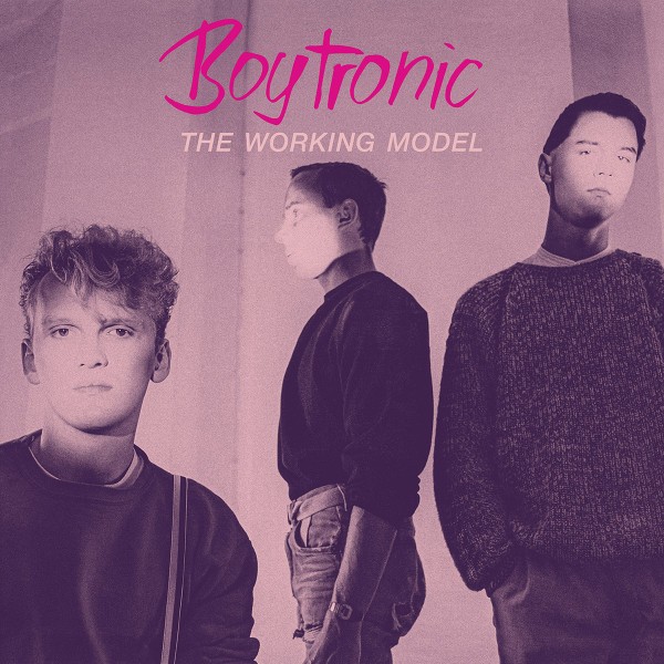 Boytronic :  The Working Model (2-LP)