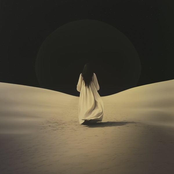 Sunnata : Chasing Shadows (LP)