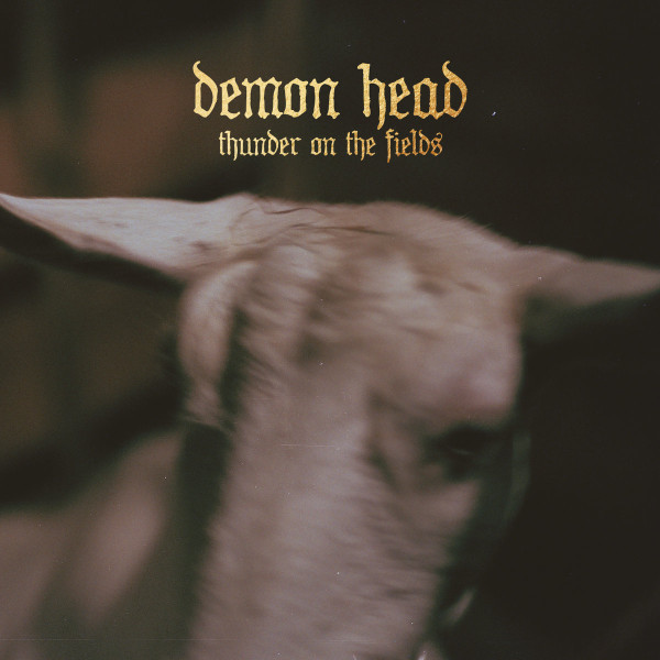 Demon Head : Thunder in the Fields (LP)