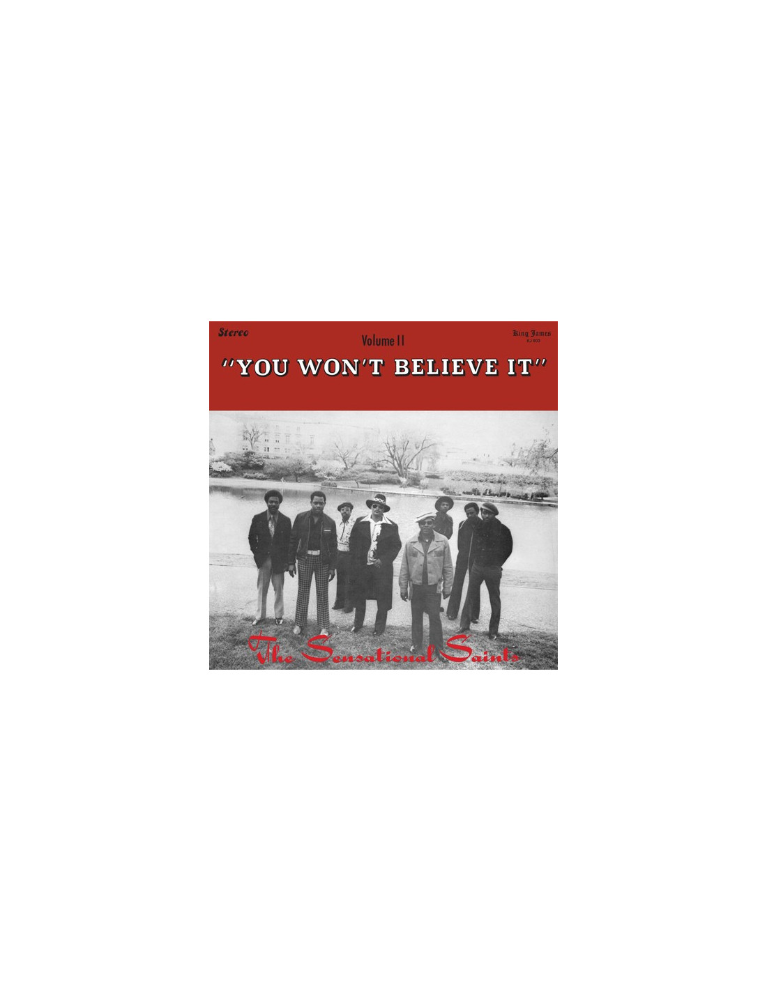Sensational Saints You won't believe it (LP)