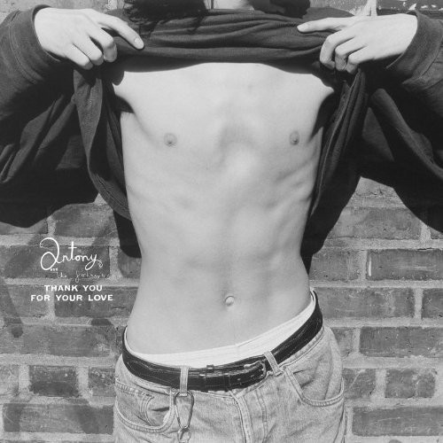 Antony And The Johnsons : Thank You For Your Love (CD)