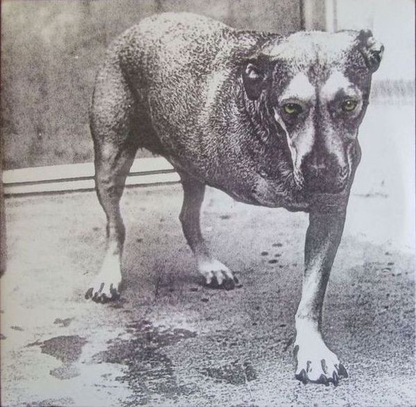 Alice in Chains : Alice in Chains (2-LP)