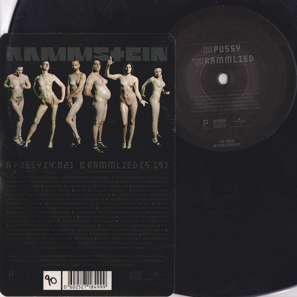 Rammstein : Pussy (12") pic.disc