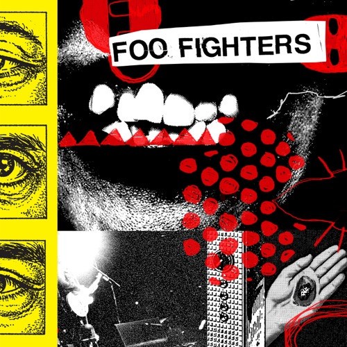 Foo Fighters : Your Favorite Toy (LP)