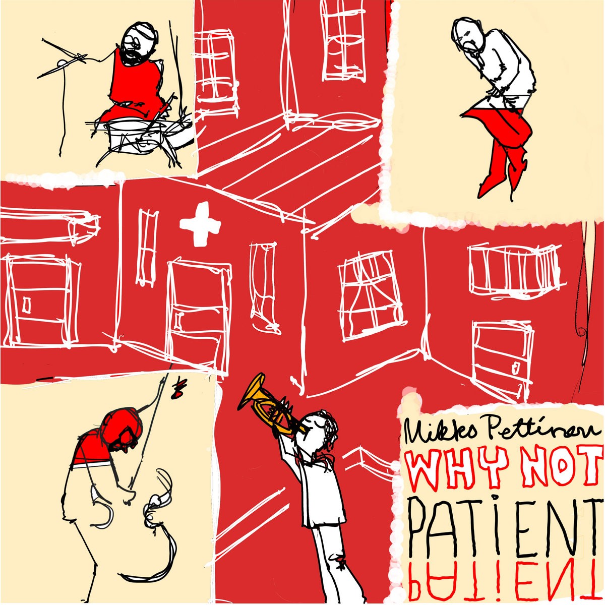 Pettinen, Mikko Why Not : Patient Patient (LP)